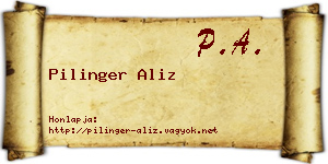 Pilinger Aliz névjegykártya